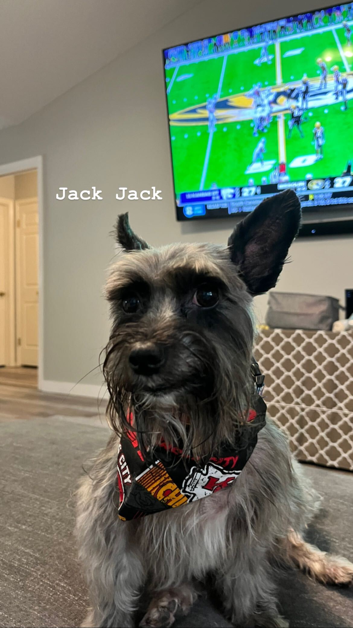 gdc intern